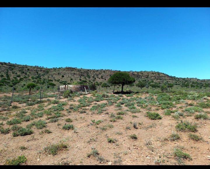 0 Bedroom Property for Sale in Willowmore Eastern Cape